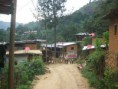 /album/fotogaleria/coyona-11-jpg/